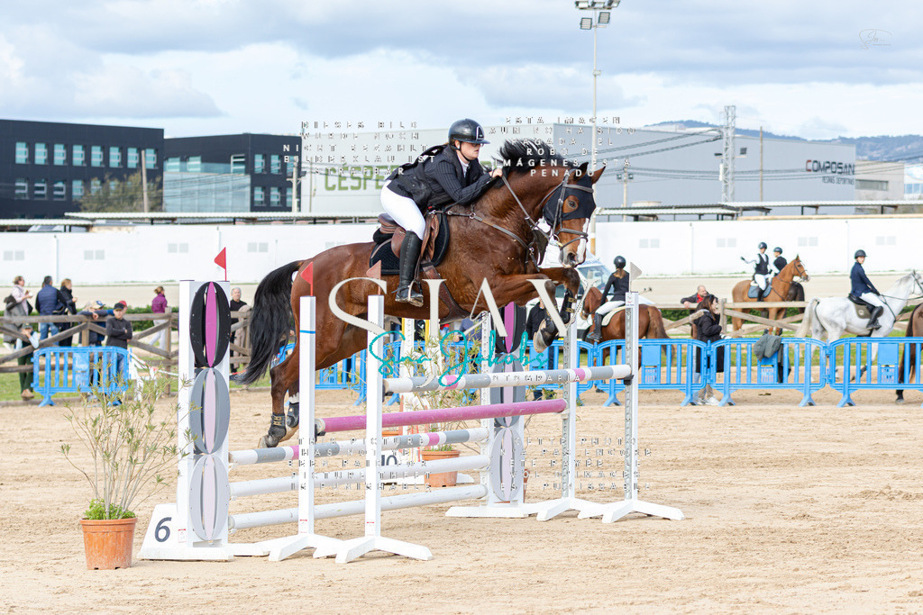 IMG_2995 | s-jay-photography - Realisiert mit Pictrs.com