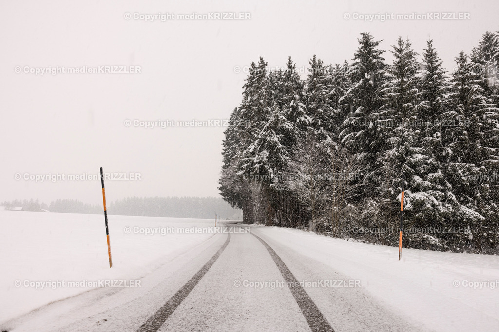 _J3A9563 | medienkrizzler - Realisiert mit Pictrs.com