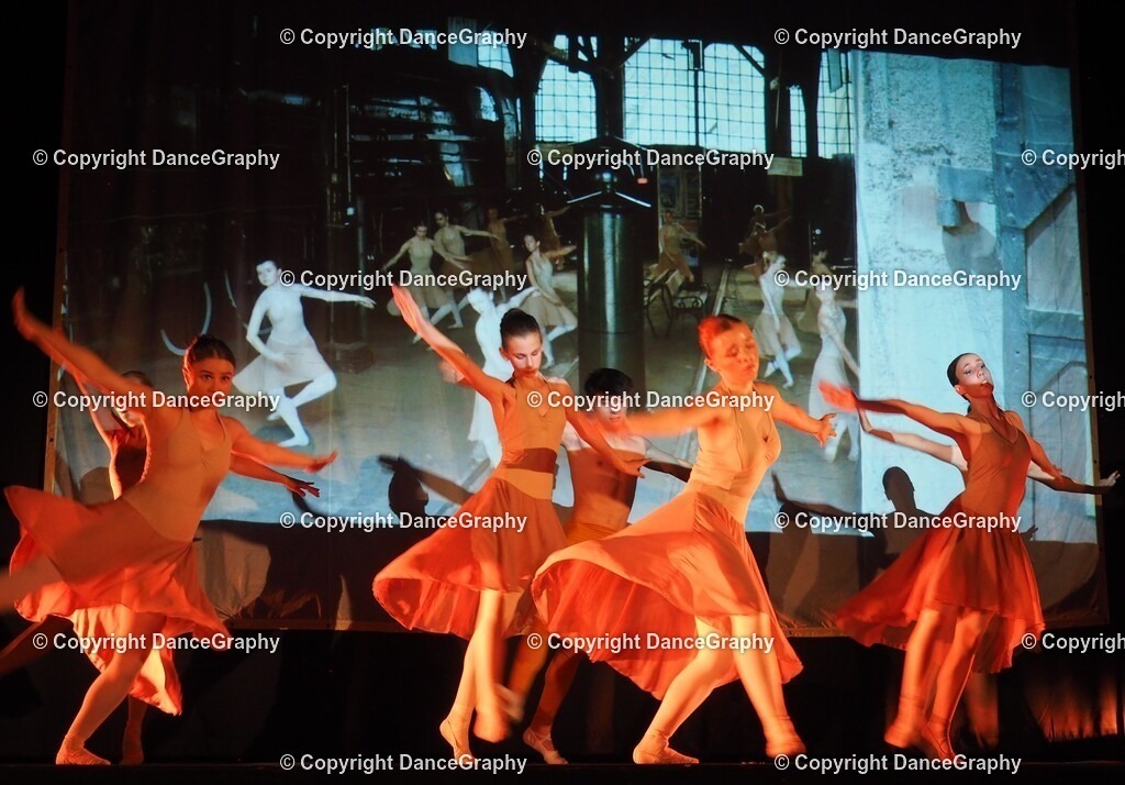 P1010893 | OLYMPUS DIGITAL CAMERA - Realisiert mit Pictrs.com