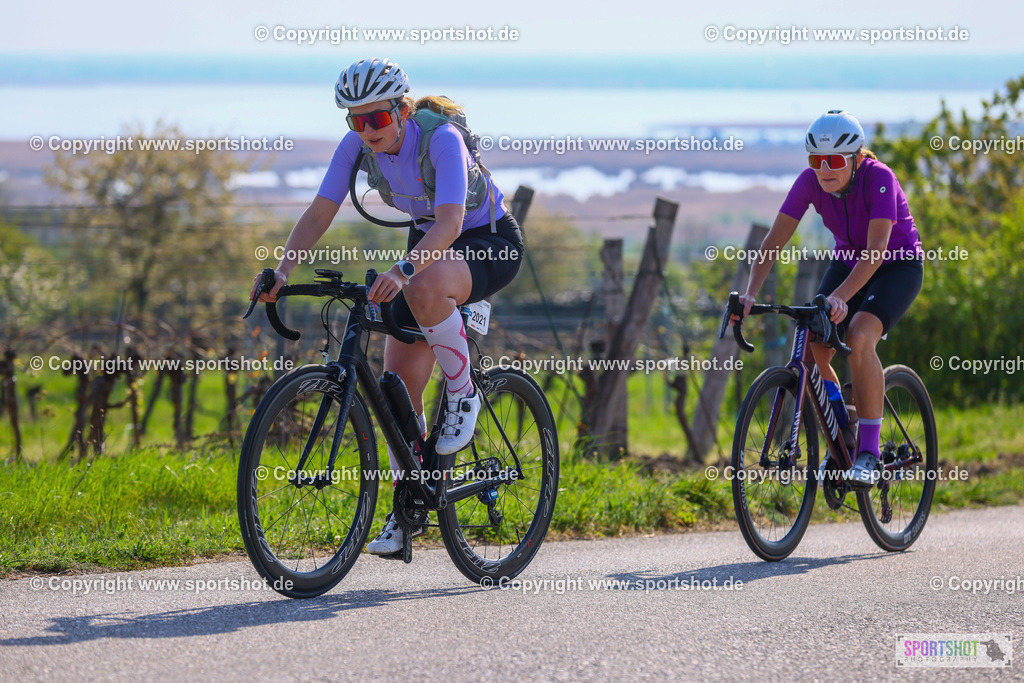 TRA_0321 | Neusiedlersee Radmarathon 2026@sportshot_your_pictrs #yourpictures#roadtowm2029 #nrm #neusiedlerseeradmarathon #neusiedlersee #neusiedlerseetourismus #burgenland #mörbisch #nrm26 #burgenlandtourismus #voglundco #poweredbyburgenlandtourismus #radsport #rad #marathon #ucigranfondo #visitburgenland #ucigranfondoworldseries