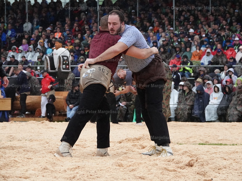 DSC07904 | Schwingen - Realisiert mit Pictrs.com