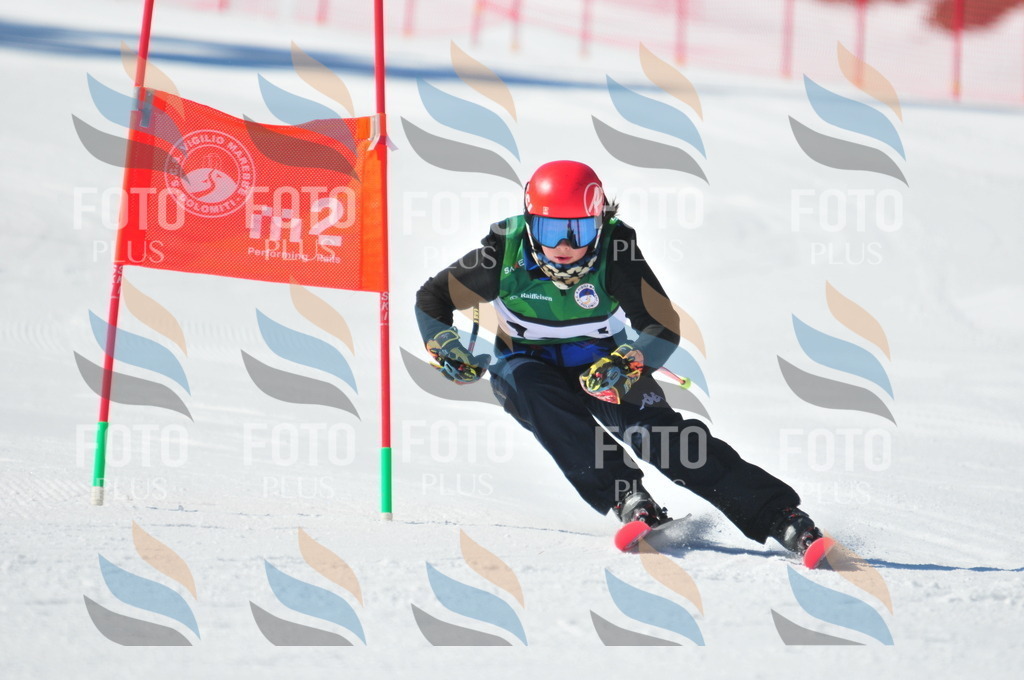 C3775 | holidayphoto