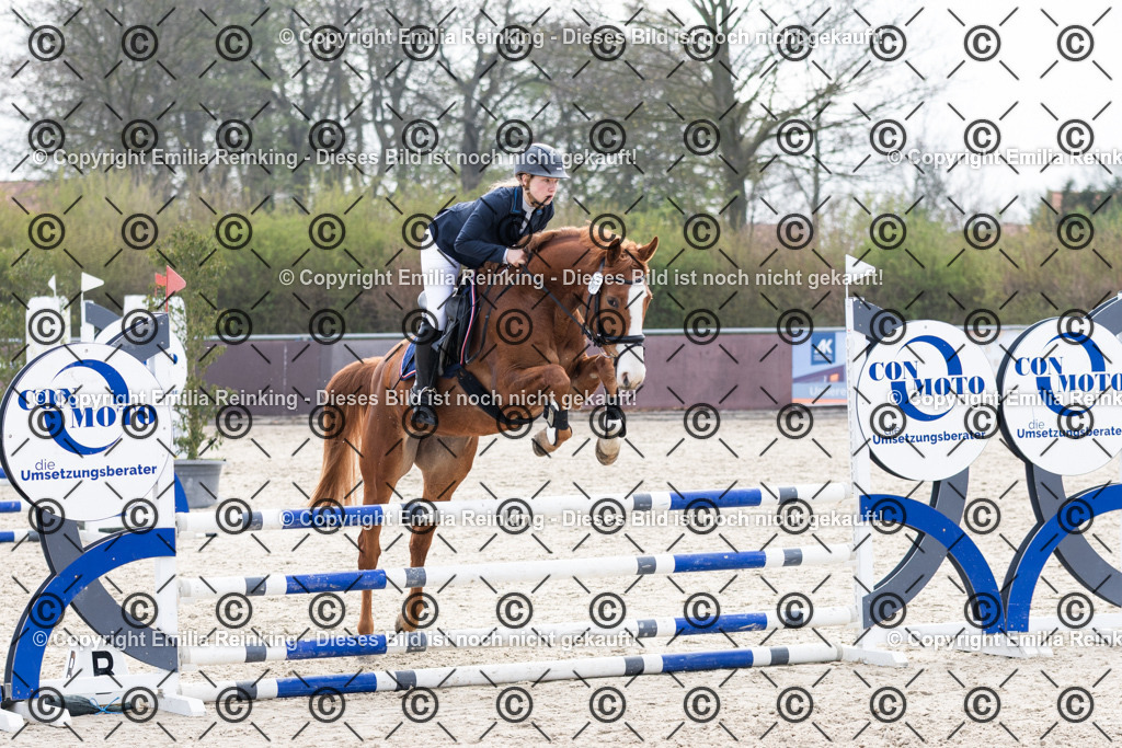 CL5A5029 | Emilia Reinking Fotografie - Realisiert mit Pictrs.com