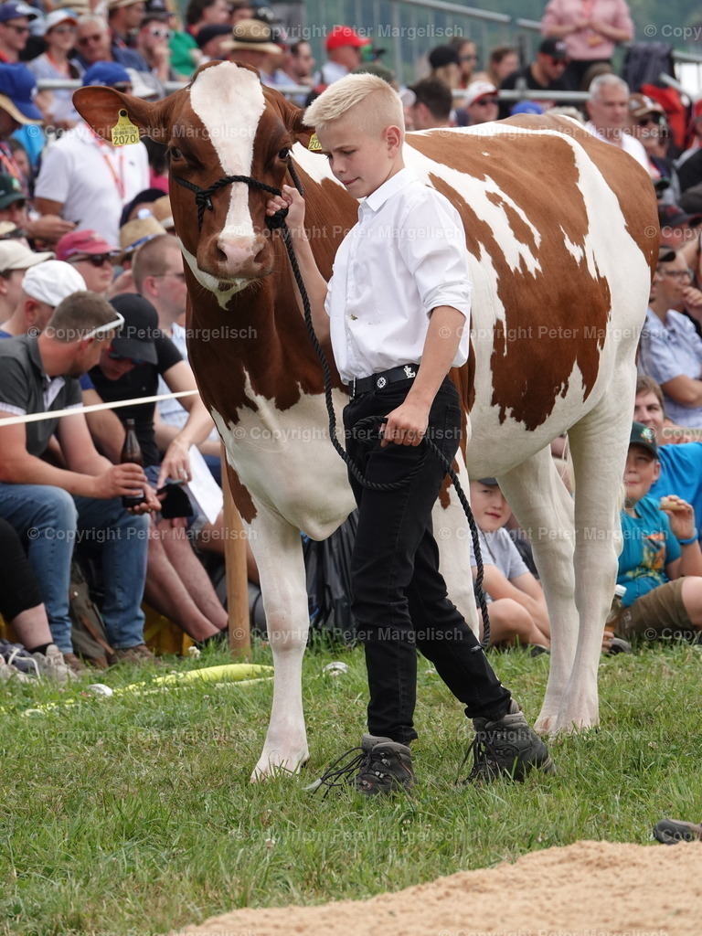 DSC04989 | Schwingen - Realisiert mit Pictrs.com