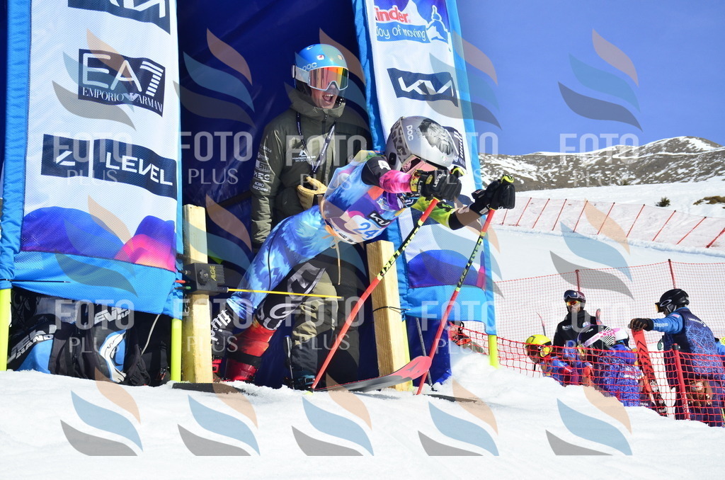 _ELE9917 | holidayphoto