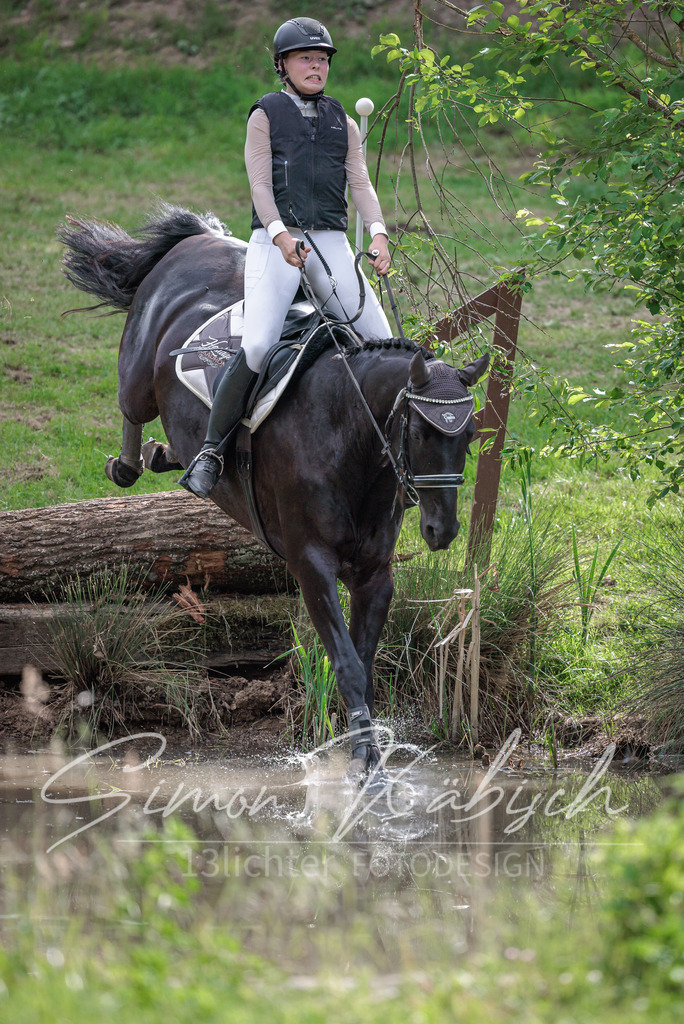 20260523-_3LI9865 | Tierfotografie Pferde, Hunde, Katzen, Haustiere.
Turnierfotografie Reitturniere, Reiten, Springreiten, Dressur in Hanau, dem Main-Kinzig-Kreis und dem Rhein-Main- Gebiet um Frankfurt