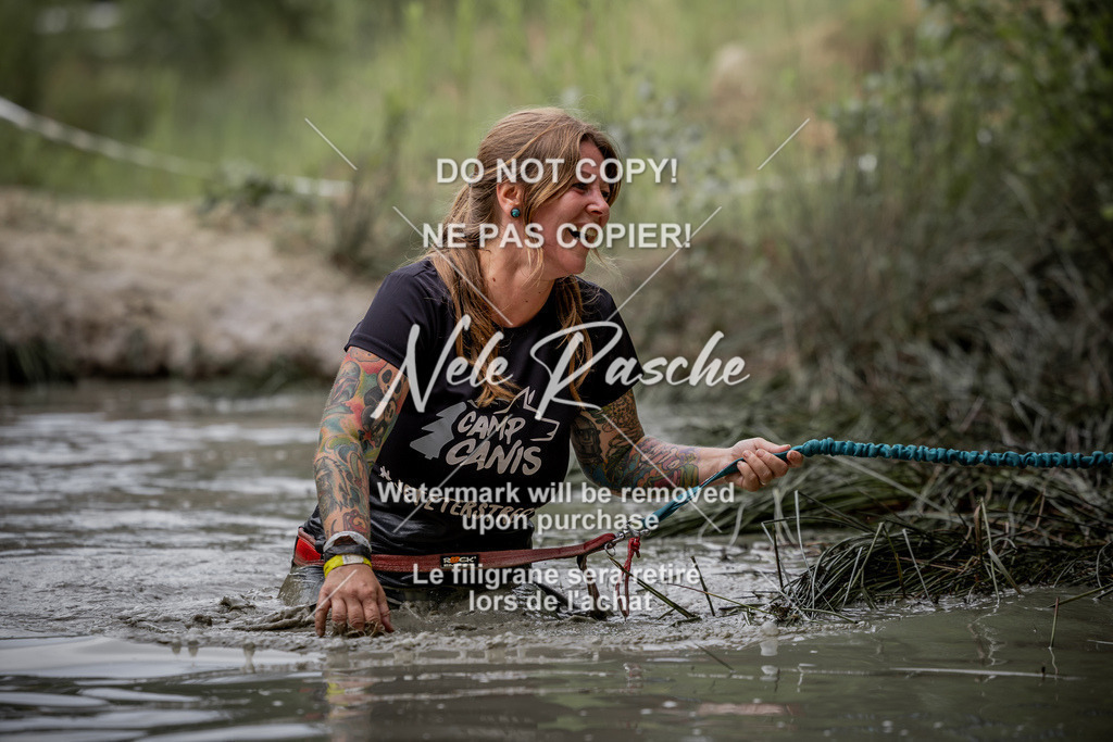 nelerasche_so0800-0930_212 | nelerasche