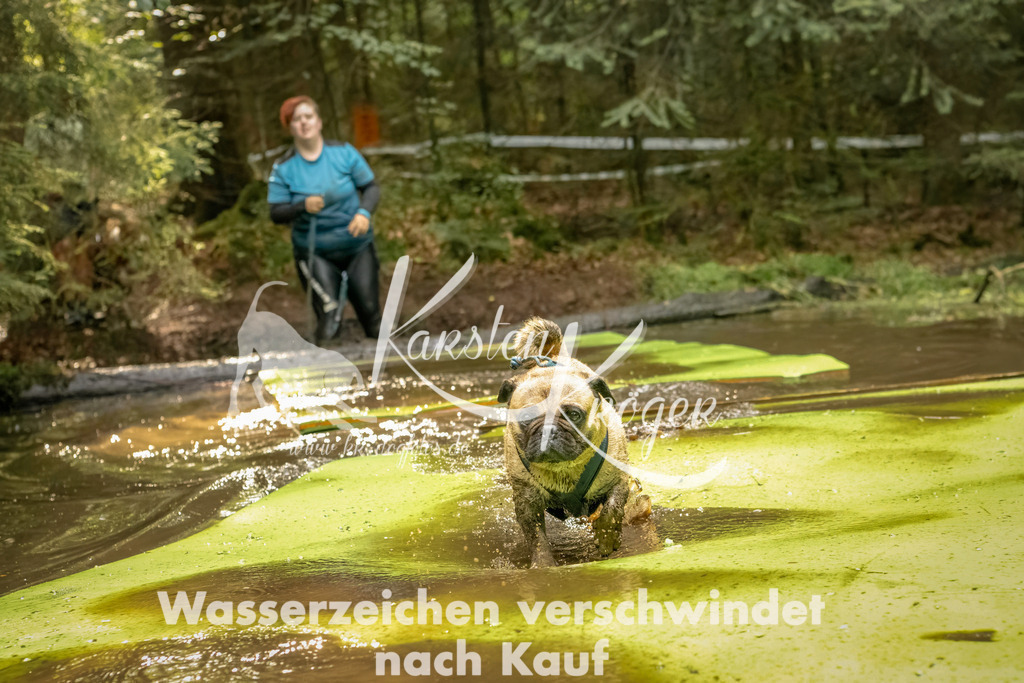 1413_ZZ91641-Bearbeitet | kk-dogfotos