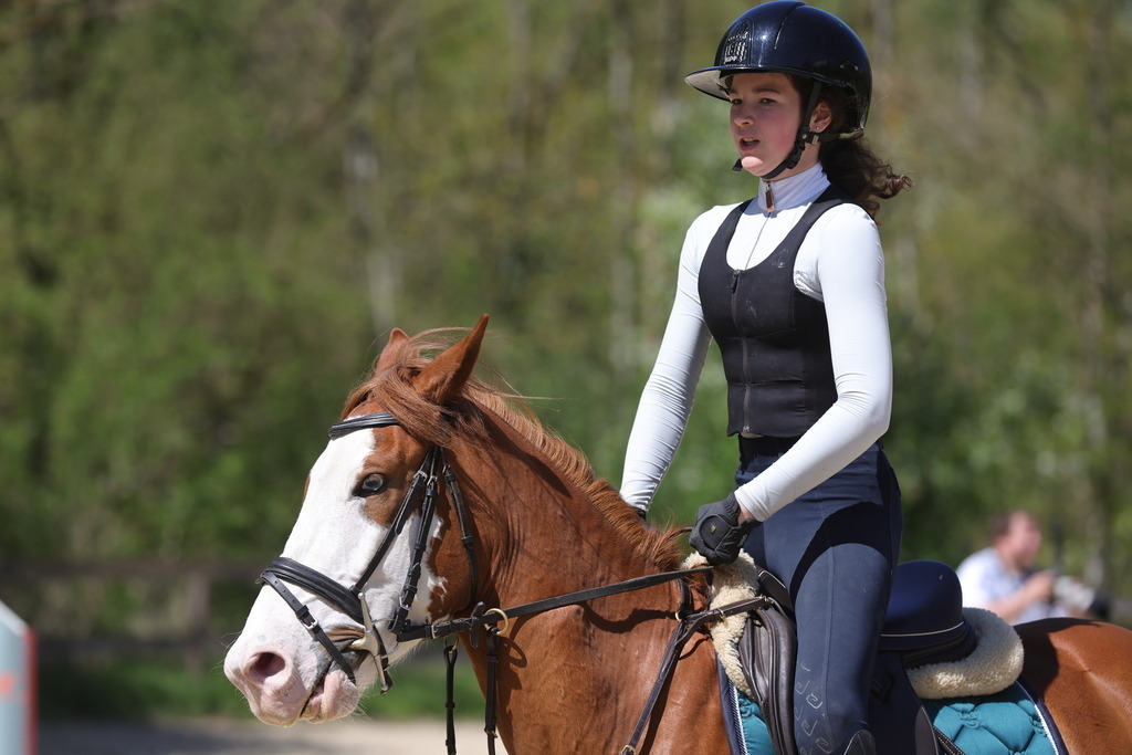 0P6A8805 | Willkommen bei Brunnmayr - Design & Fotografie – Ihrem Spezialisten für Reitturniere und Pferdeveranstaltungen in Oberösterreich, Salzburg und Bayern! Seit über 17 Jahren sind wir leidenschaftlich dabei.