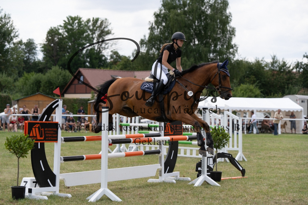 A7V02107 | Pferdefotograf