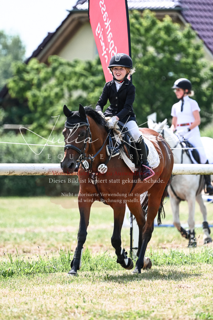 DSC_9368 | Pferde- und Turnierfotografie in Westsachsen. Pferdeportraits, Auftragszeichnungen und intuitive Kunst.