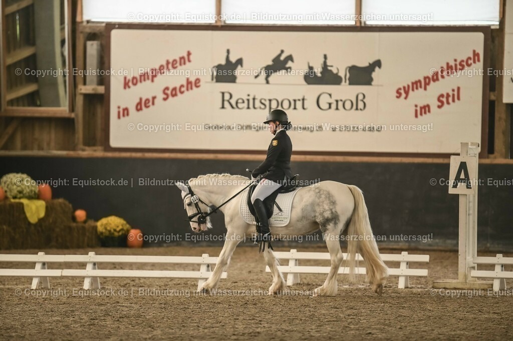 01_Dressur_A_Finale-Volksbank-Championat_0094 | Foto: Thomas Hartig
