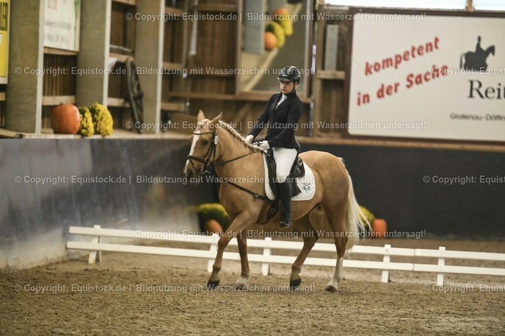 20231029_02_Reiter-WB_Schritt-Trab-Galopp_Abteilung-01_0035 | Foto: Thomas Hartig