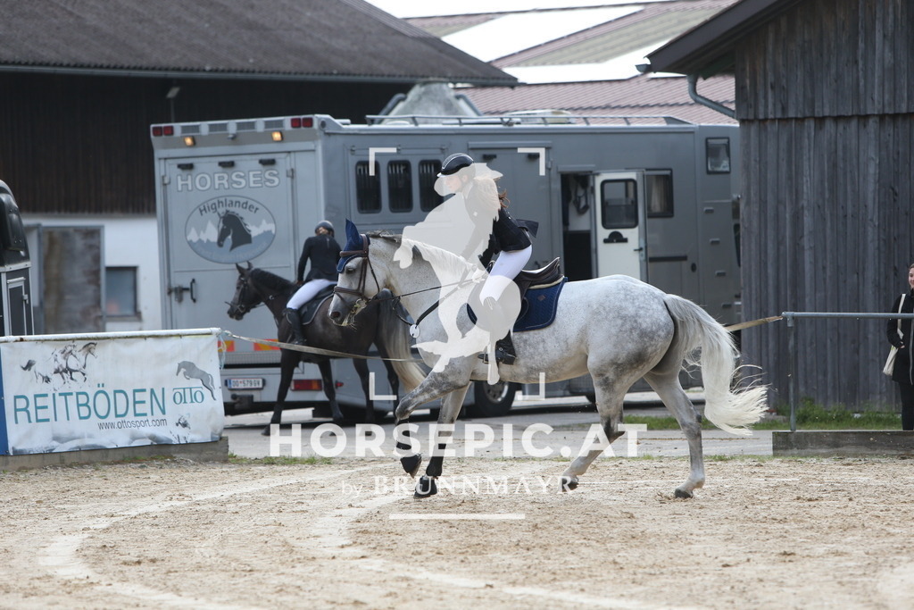 DL2Q0055 | Willkommen bei Brunnmayr - Design & Fotografie – Ihrem Spezialisten für Reitturniere und Pferdeveranstaltungen in Oberösterreich, Salzburg und Bayern! Seit über 17 Jahren sind wir leidenschaftlich dabei.
