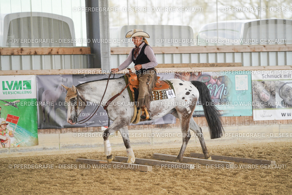 DSC01920 | Pferdegrafie