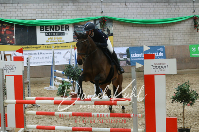 IMG_0656 | Turnierfotos kaufen im Webshop von Daniel Kuhl Photography – entdecke professionelle Reitsportfotos aus Turnieren & Events. Hochwertige Turnierbilder online bestellen & sichern. Jetzt Fotos von Reitsportturnieren kaufen!