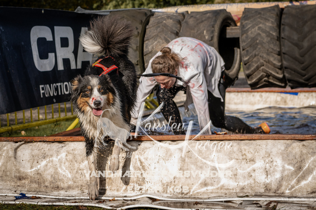 1357_ZZ93464 | kk-dogfotos