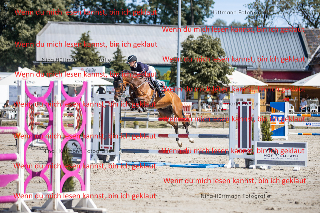 BK1A6939 | Turnierbilder Turnierfotos Nina Hüffmann Turnierfotografie Pferdefotografie Tierzeichnung Haustierzeichnung Pferdezeichnung Hundezeichnung Videograf  - Realisiert mit Pictrs.com