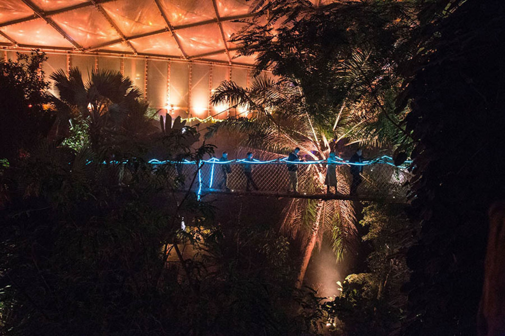Gondwanaland im Zoo Leipzig - Magisches Tropenleuchten | Entdecke über 20 Kategorien Leipzig-Motive: Foto-Downloads, hochwertige Poster, Leinwand- & Fine-Art-Prints. Jetzt Lieblingsfoto im Bildlexikon Leipzig Shop bestellen!