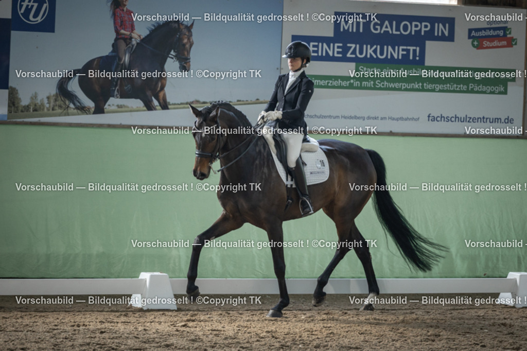 _D5A4689 | Emotionale Pferde- & People-Fotografie rund um Heidelberg, Leimen & Umgebung. Natürliche Fotos von Pferd, Mensch & Familie. Jetzt Termin sichern!