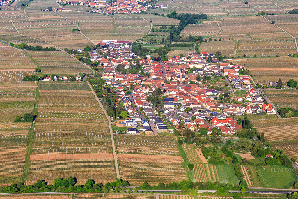 Luftbild: Ortsansicht von Osten in Roschbach im Bundesland Rheinland-Pfalz in Deutschland. Foto: IMG_120626.jpg vom 26.04.2020 durch Werner Riehm/FLY-FOTO.de