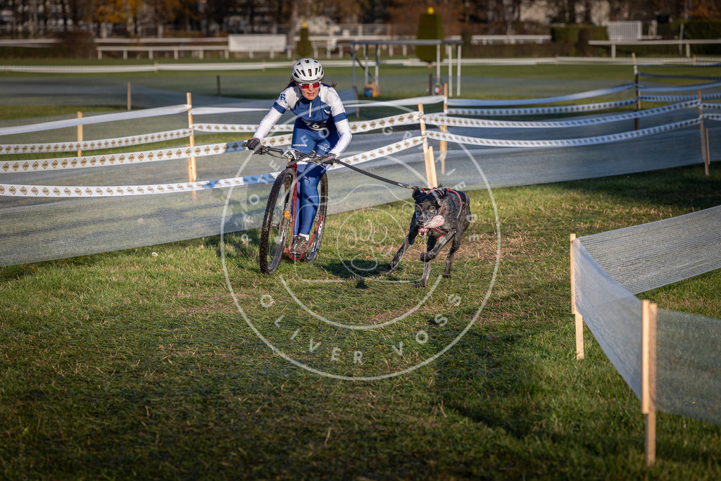 CaniXpix_0L8A3575 | Hundefotografie, Tierfotograf, Pfotenfotografie, Fotoshooting Hund, Hunde Portrait, Hundesport, Hundeportraits, Heideshooting, Hunde, Sportfotograf, Hundefotograf, Turnierhundsport, THS,  - Realisiert mit Pictrs.com