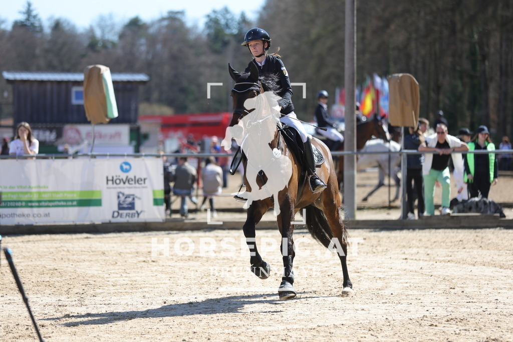 0P6A7819 | Willkommen bei Brunnmayr - Design & Fotografie – Ihrem Spezialisten für Reitturniere und Pferdeveranstaltungen in Oberösterreich, Salzburg und Bayern! Seit über 17 Jahren sind wir leidenschaftlich dabei.
