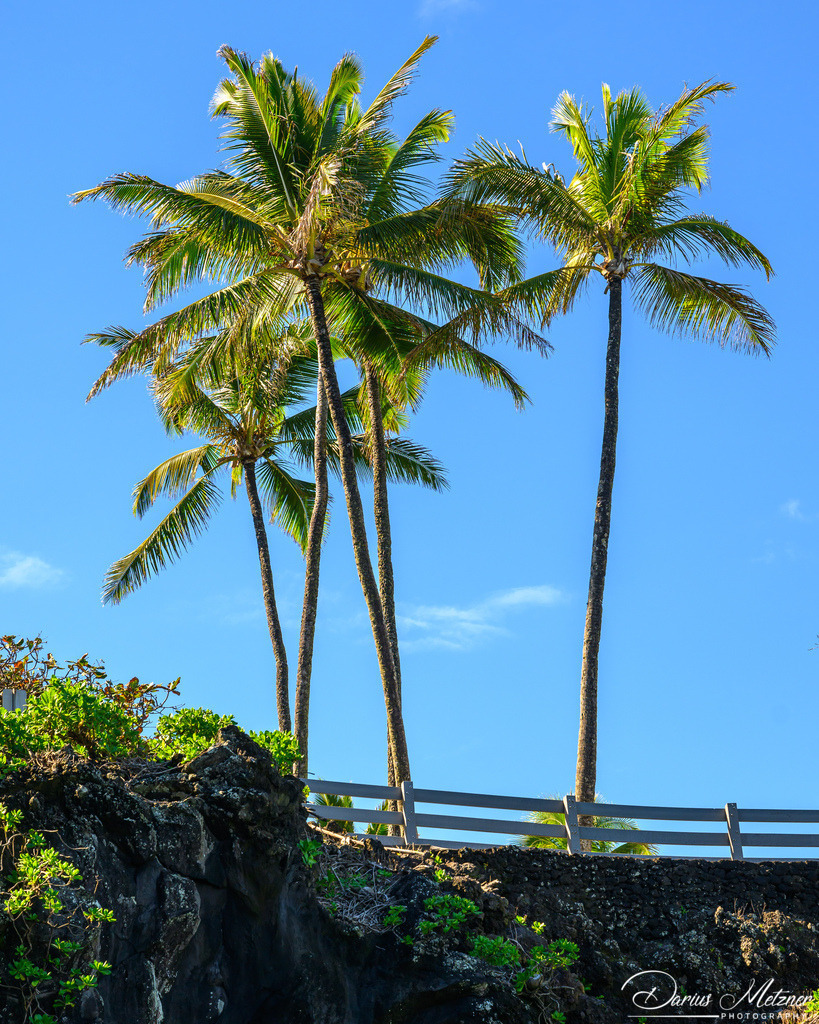 Maui  | Maui auf Hawaii