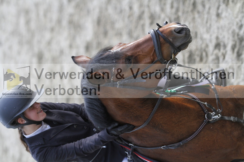 _MG_6672 | equestrian-live-com