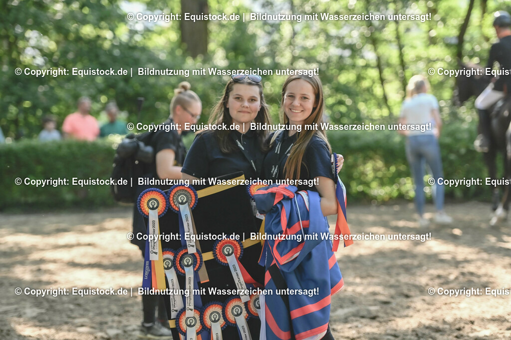 D78_3623 | equistock