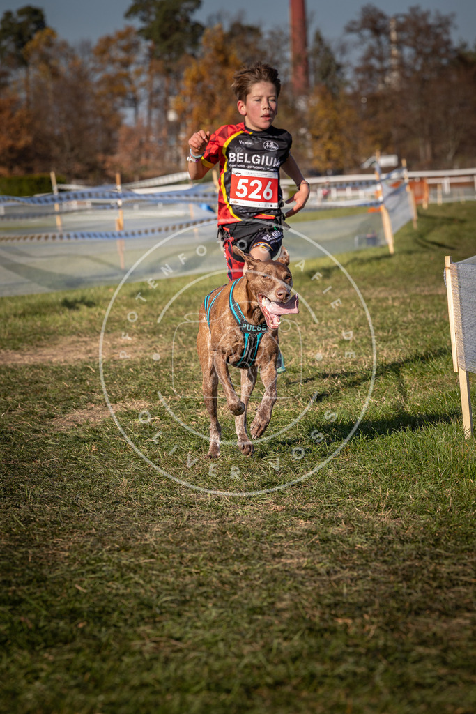 CaniXpix_0L8A7282 | Hundefotografie, Tierfotograf, Pfotenfotografie, Fotoshooting Hund, Hunde Portrait, Hundesport, Hundeportraits, Heideshooting, Hunde, Sportfotograf, Hundefotograf, Turnierhundsport, THS,  - Realisiert mit Pictrs.com
