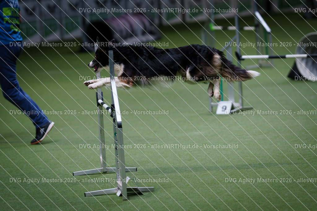 allesWIRTHgut_Tierfotografie-DVG_Agility_Masters_2026-11_28-7R501767 | Professionelle Tierfotografie in Mönchengladbach von Daniel Wirth (allesWIRTHgut). Liebevolle & natürliche Bilder von Hunden & Katzen für unvergessliche Erinnerungen.