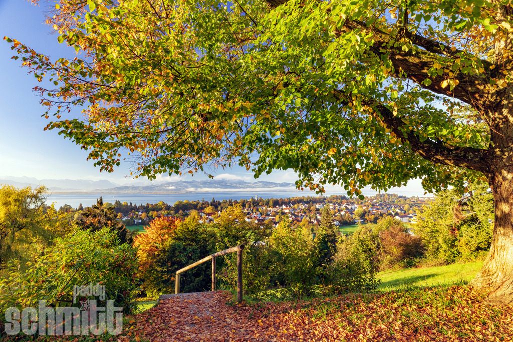 PS-Lindau-2026-06 | Entdecke die größte Bildgalerie der Region mit Fotografien aus dem Allgäu, der Bodenseeregion, Oberschwaben, dem Donautal und der Schwäbischen Alb. Landschaften, Luftaufnahmen und Reisefotografie als Wandbild und Fotokunst. - Realisiert mit Pictrs.com