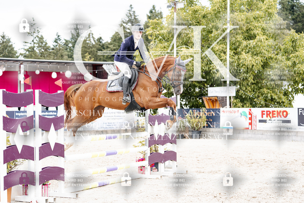CK909461 | Turnierfotografie Pferdefotografie Trier Rheinland-Pfalz Pferdesport Reitsport Tierfotografie Sportfotografie Pferdevideo Pferdevideografie Equestrianvideography equestrianphotography  - Realisiert mit Pictrs.com