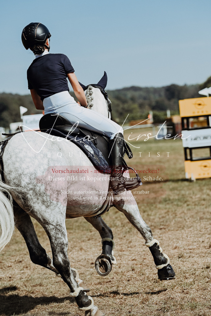 DSC_0037 | Pferde- und Turnierfotografie in Westsachsen. Pferdeportraits, Auftragszeichnungen und intuitive Kunst.