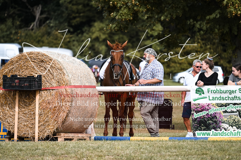 DSC_8837 | Pferde- und Turnierfotografie in Westsachsen. Pferdeportraits, Auftragszeichnungen und intuitive Kunst.