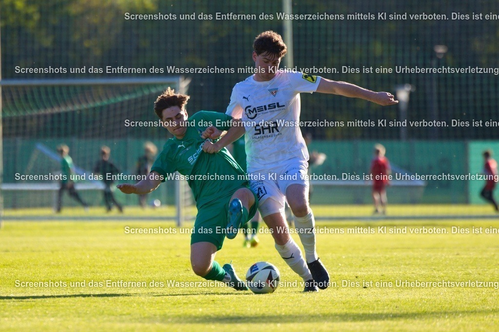 7K3A7812 | Professionelle Sportfotos aus Österreich. Für Sport und Presse – jetzt deine Fotos entdecken und bestellen!