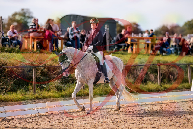 2026_10_03_Siefer-Hof_122630_Z81_25774718 | Professionelle Reitsport-, Turnier- und Eventfotografie von Robert Broda. Galerien mit ausgewählten und bearbeiteten Bildern direkt online ansehen und bestellen.