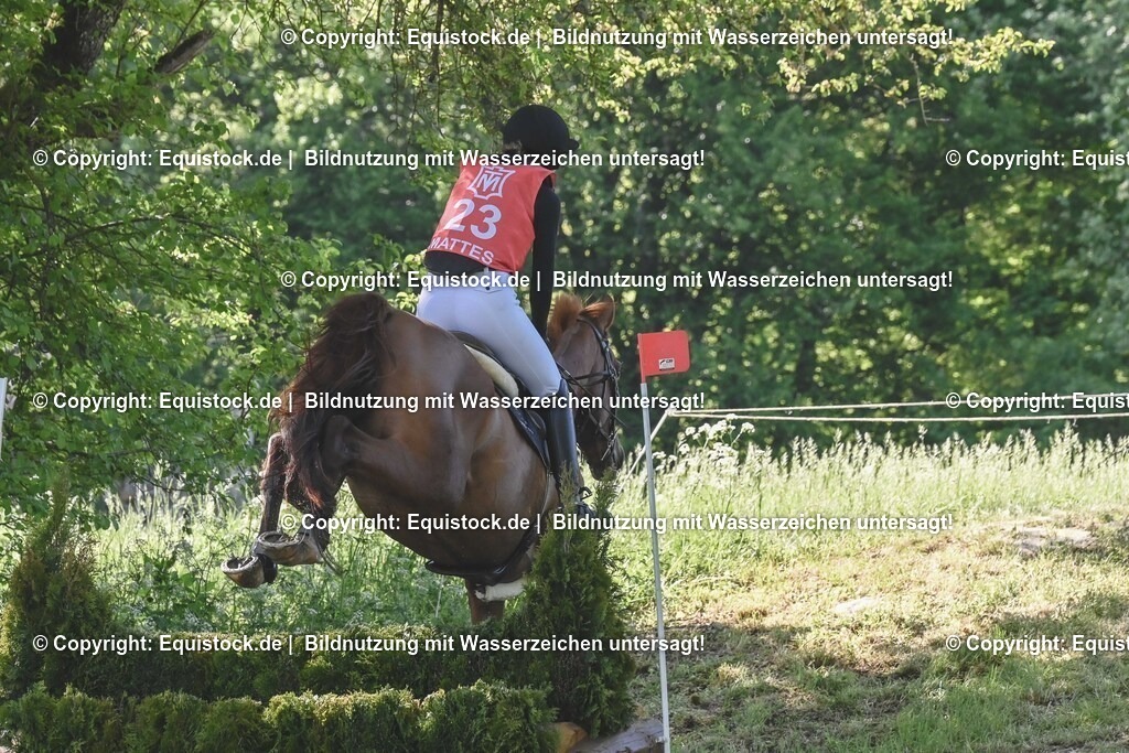 20250517_CCI2_Gelände_0735 | Foto: Thomas Hartig