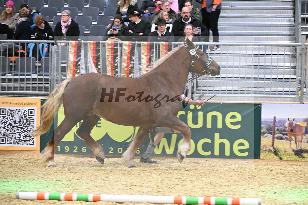 Kat-Nr. 34 Polly v. Sandro_Schmalzl_1260514 | hf-fotografie - Realisiert mit Pictrs.com