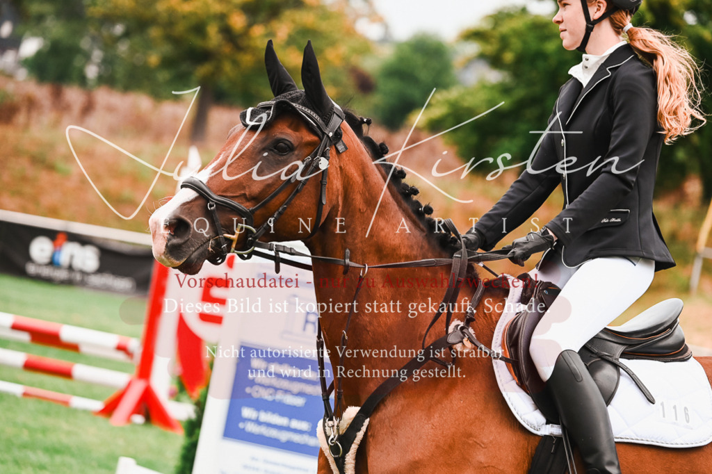 DSC_5916 | Pferde- und Turnierfotografie in Westsachsen. Pferdeportraits, Auftragszeichnungen und intuitive Kunst.