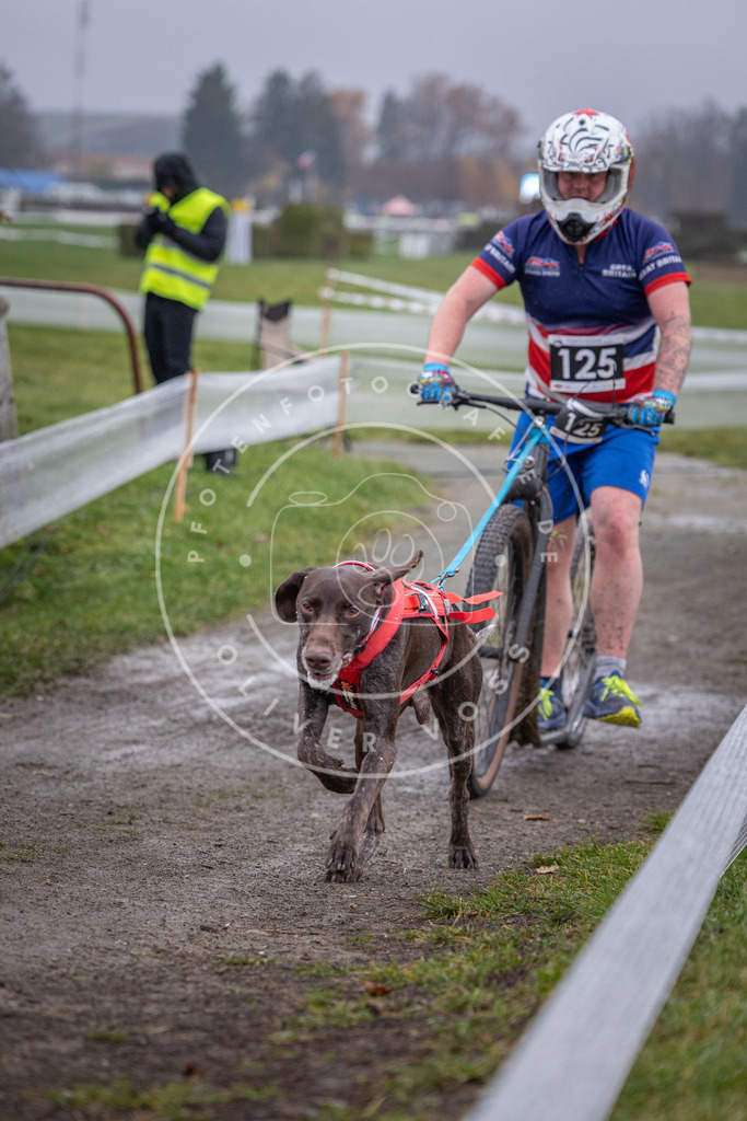 CaniXpix_0L8A0914 | Hundefotografie, Tierfotograf, Pfotenfotografie, Fotoshooting Hund, Hunde Portrait, Hundesport, Hundeportraits, Heideshooting, Hunde, Sportfotograf, Hundefotograf, Turnierhundsport, THS,  - Realisiert mit Pictrs.com