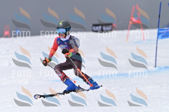 AGV_5179 | holidayphoto