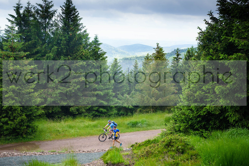 Rennsteig-Staffellauf | 24. Staffellauf - 22.06.2024 von Hörschel nach Blankenstein