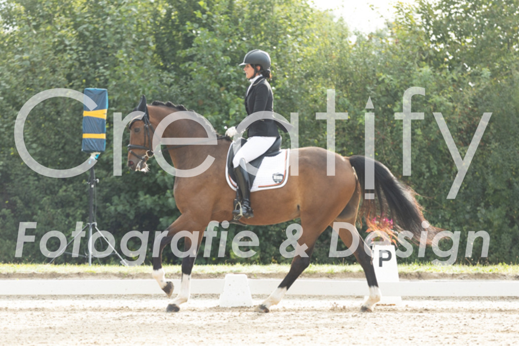 IMG_4082 | Creatify Fotografie