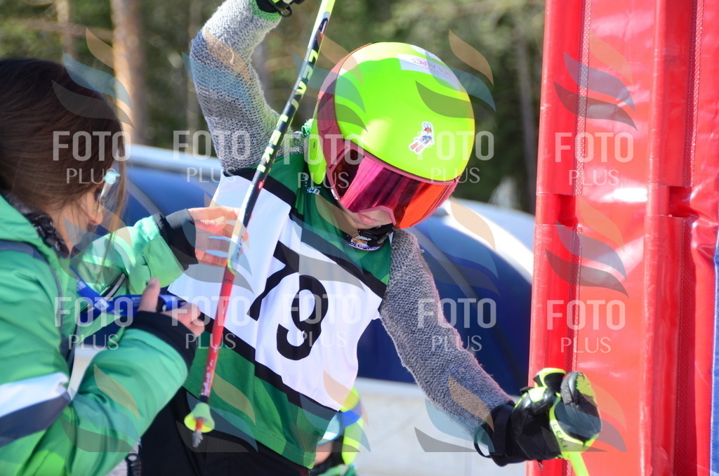 C5561 | holidayphoto