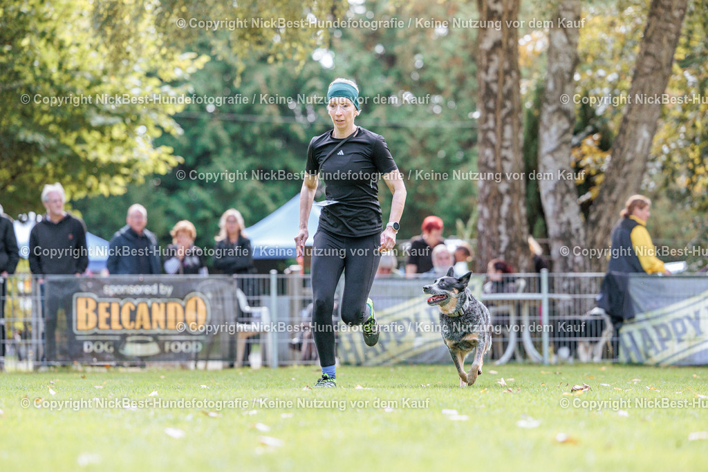 THS-HSV-Blumenthal-2026-Nickbest-Hundefotografie-2840 | Dein Hund! Dein Moment! Deine Erinnerungen! Hundefotografie in Bremen Blumenthal. Ich fange die besonderen Momente deines Vierbeiners ein – ob Indoor mit Blitzanlage oder in der freien Natur. Sicher dir dein Moment und dein Termin für eure Erinnerungen.