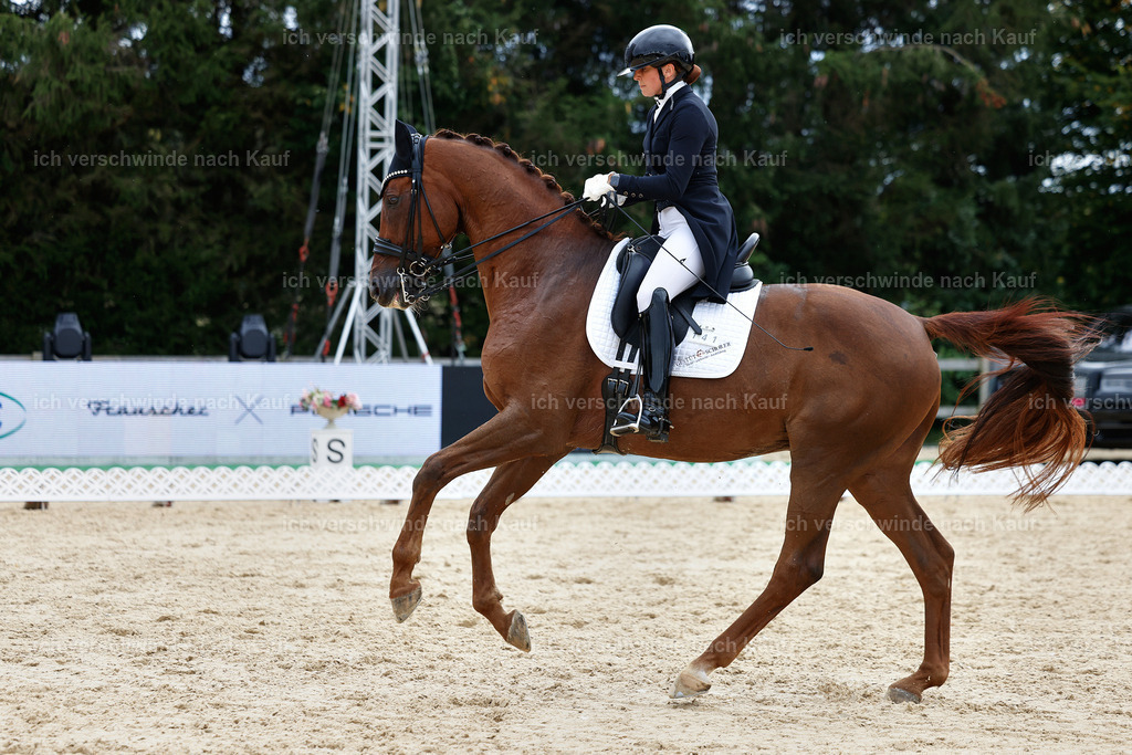 11-141-Dressur S___-Marixx-1845 | working equitationturnier fotograf videograf stoibphotography marixx film working equitation deutschland reitsport turnierfotografie eventfotografie equestrian events