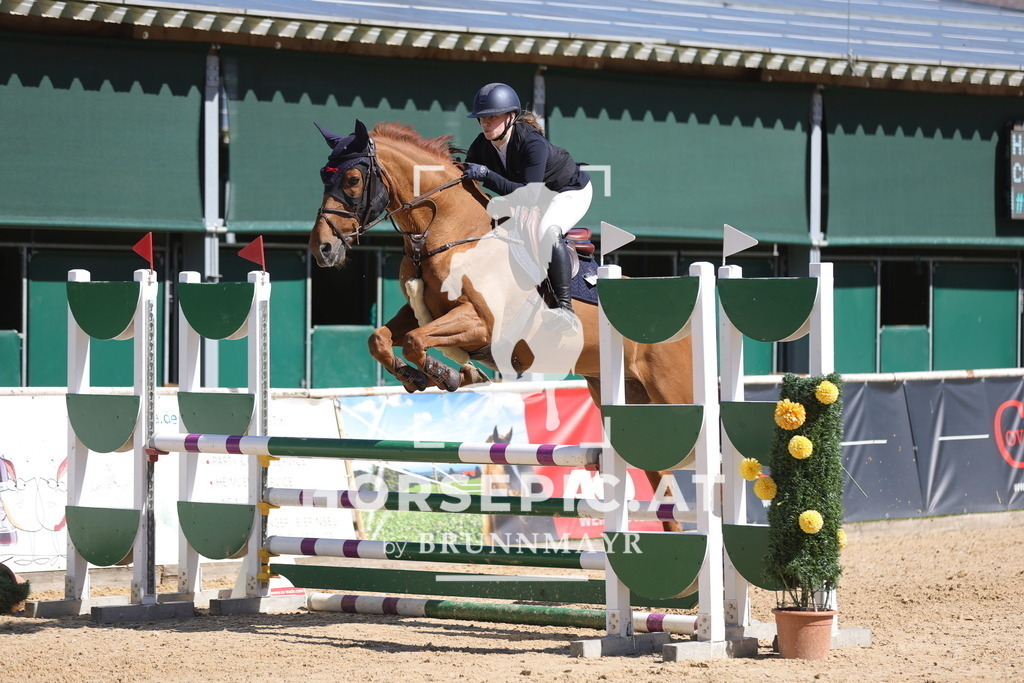 0P6A8436 | Willkommen bei Brunnmayr - Design & Fotografie – Ihrem Spezialisten für Reitturniere und Pferdeveranstaltungen in Oberösterreich, Salzburg und Bayern! Seit über 17 Jahren sind wir leidenschaftlich dabei.