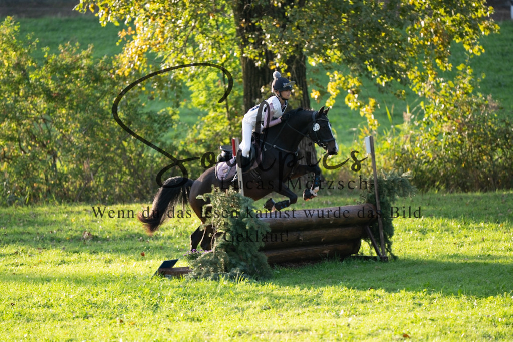 A7V02824 | Turnier/Reitfotograf
